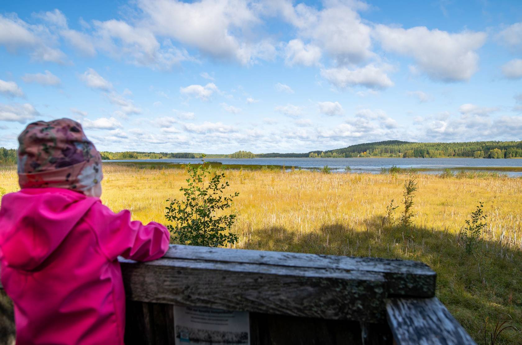 Tyttö katselee maisemaa lintutornilta Tykölänjärvelle.