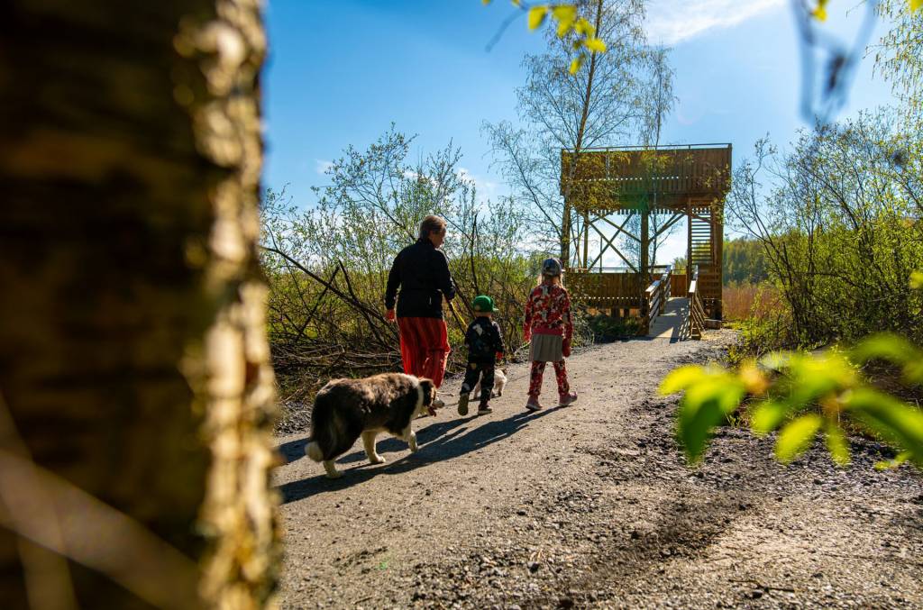 Mies, koira ja kaksi lasta kävelevät kohti Vallonjärven lintutornia.