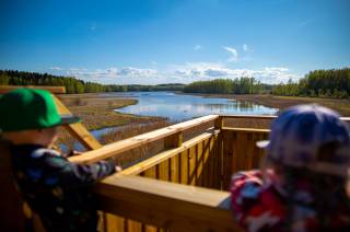 Lapset katselevat Vallonjärven lintutornilta järvelle päin.