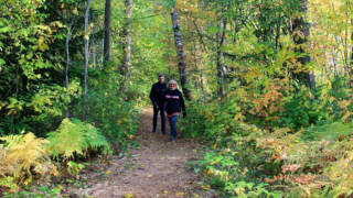 Kaksi henkilöä kävelee Santun lenkillä metsässä.