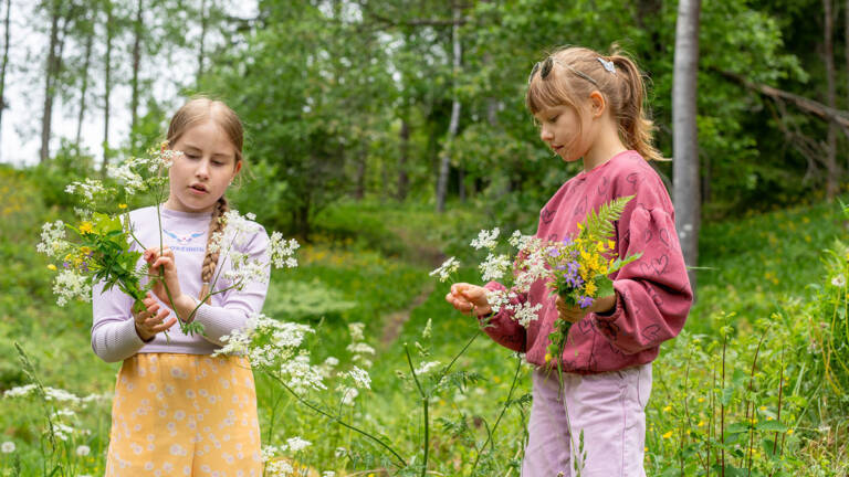Tytöt keräävät kukkia Rapolanharjulla.